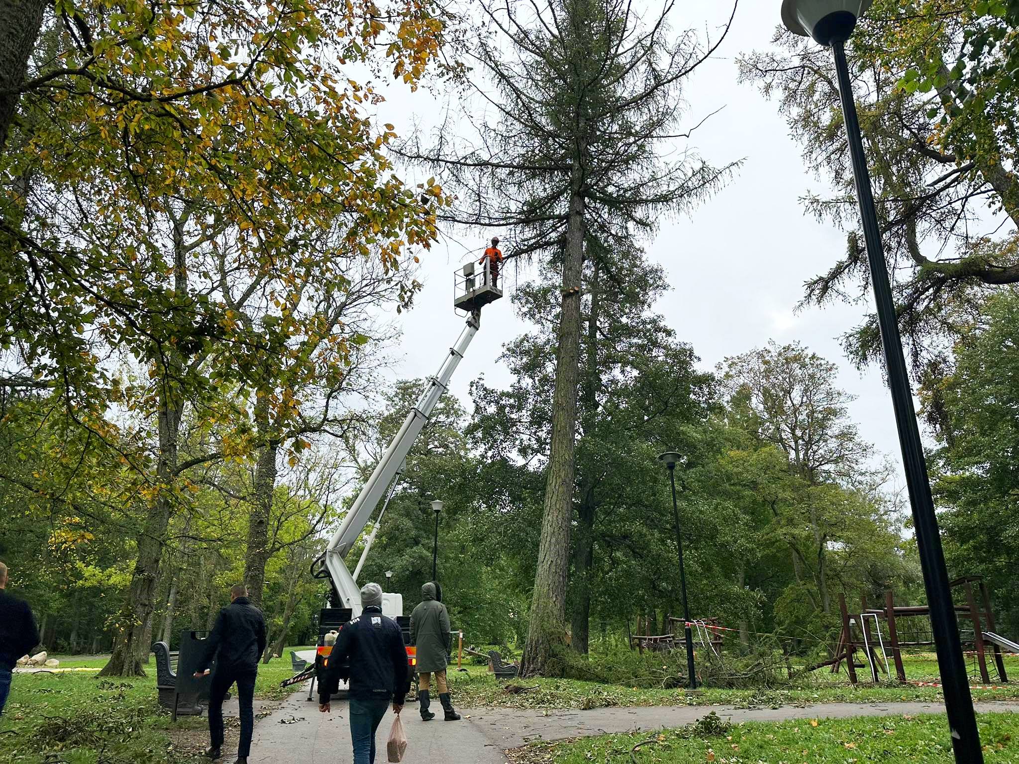 foto