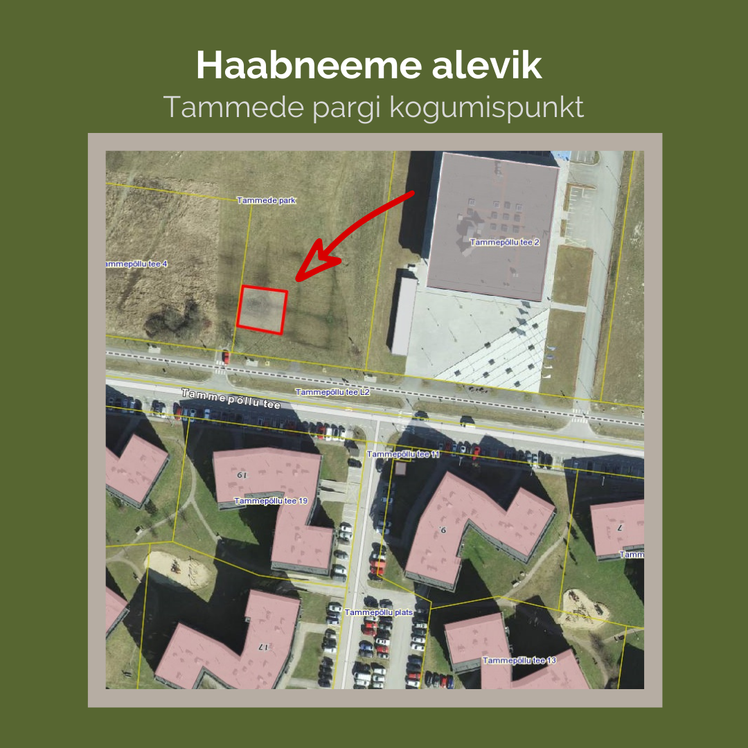 Haabneeme alevik