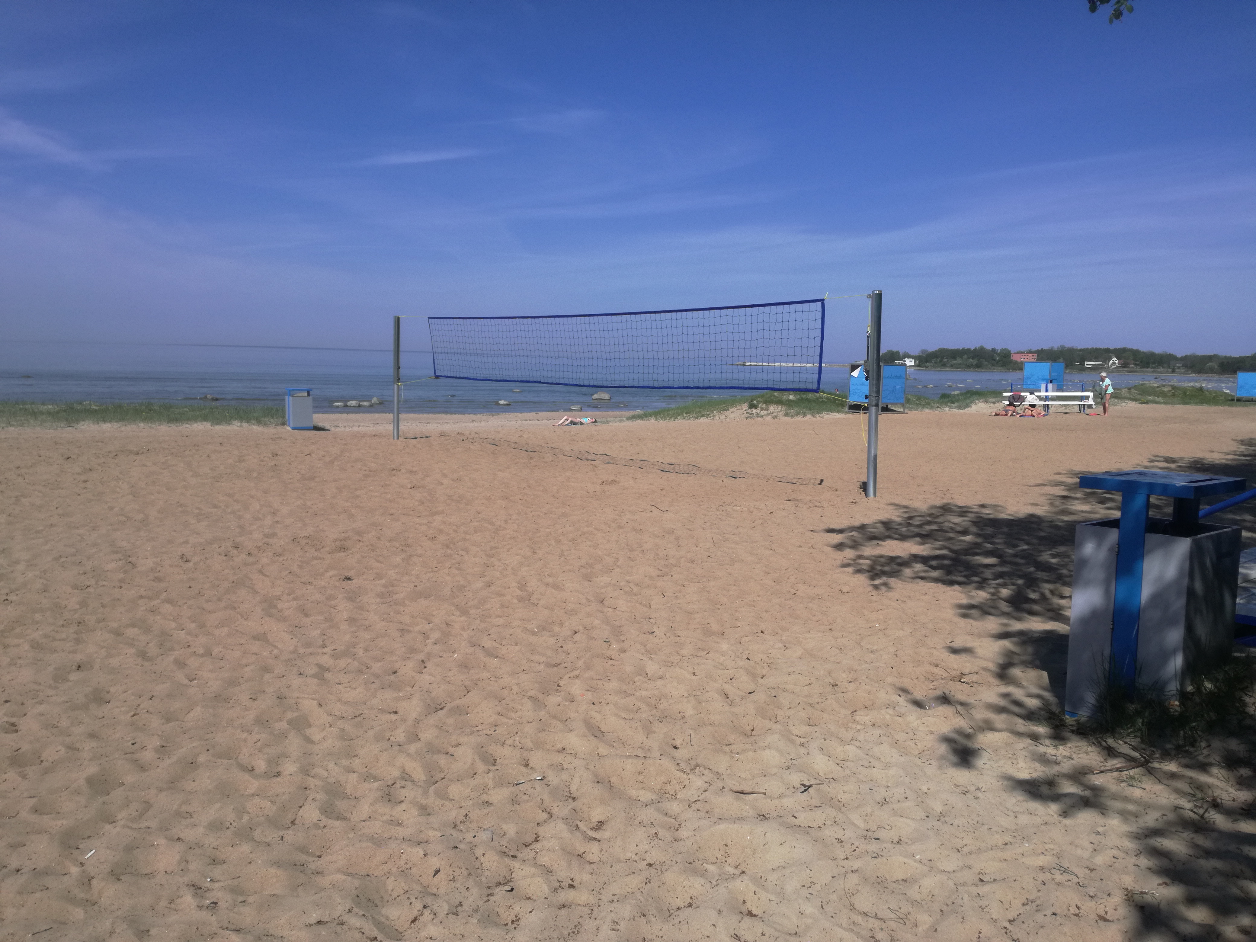 võrkpall