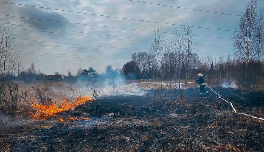 Tuletõrjuja-päästja kulupõlengut kustutamas