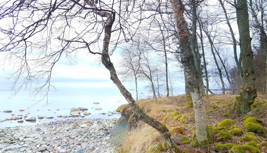 maastikukaitseala