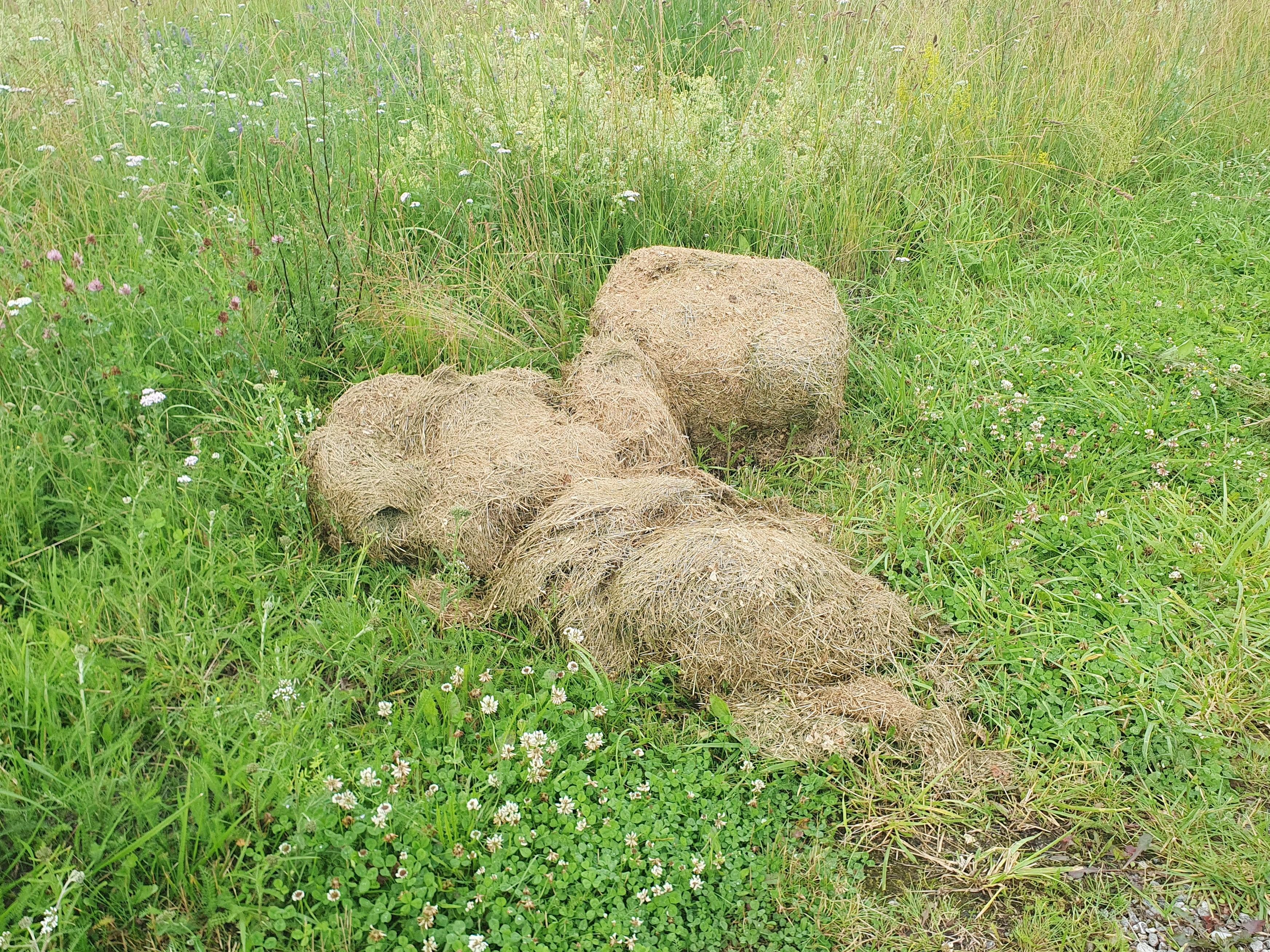 Haljastusjäätmed