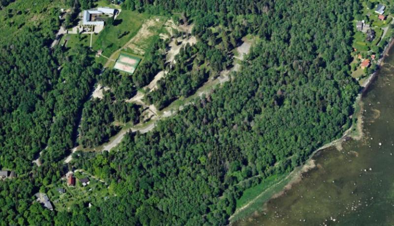 Vaade Tammelaane planeeringualale