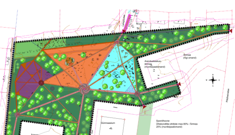 Tammede park