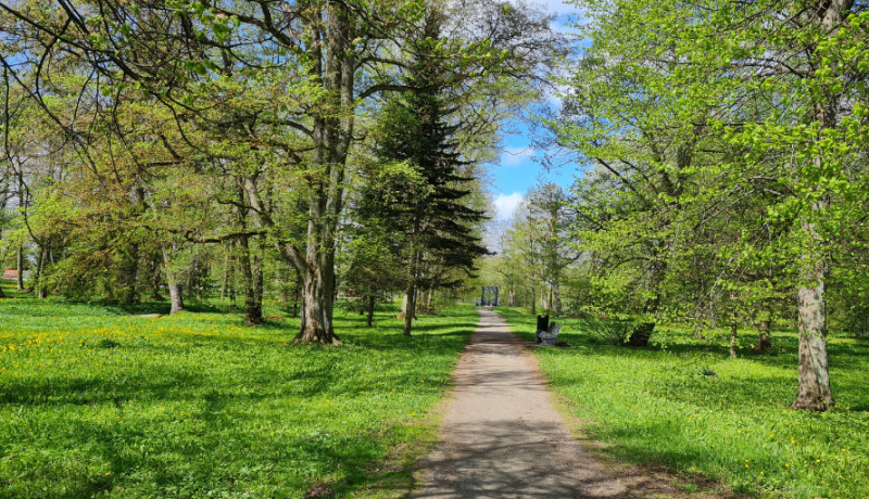 Mõisa park