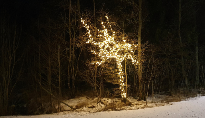 Tädu terviserada