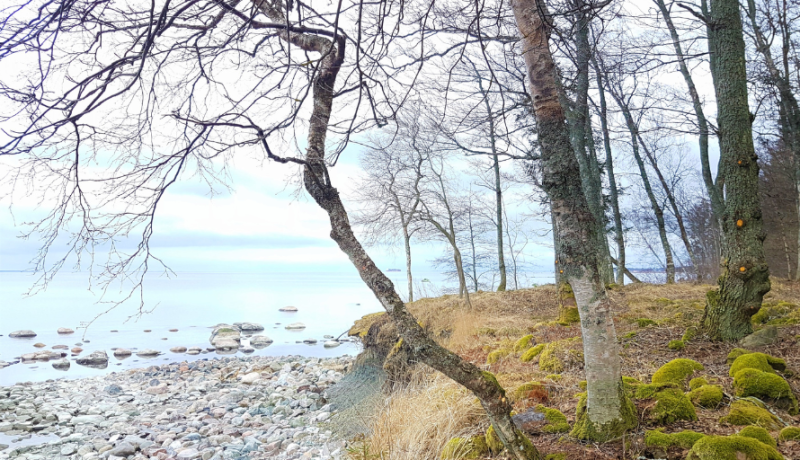 maastikukaitseala