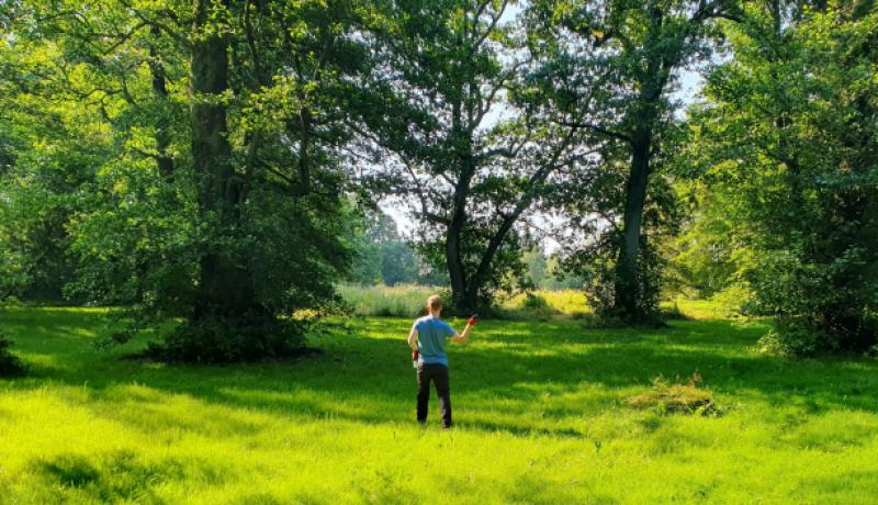 Viimsi mõisa park võõrnälkjad tõrjetööd